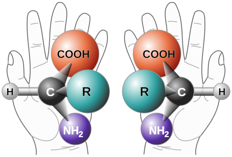 https://en.wikipedia.org/wiki/Chirality#/media/File:Chirality_with_hands.svg