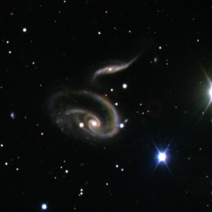 Arp273