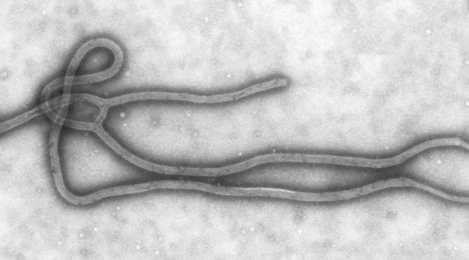 Hvad skete der egentlig med ebola-kurven i Afrika?
